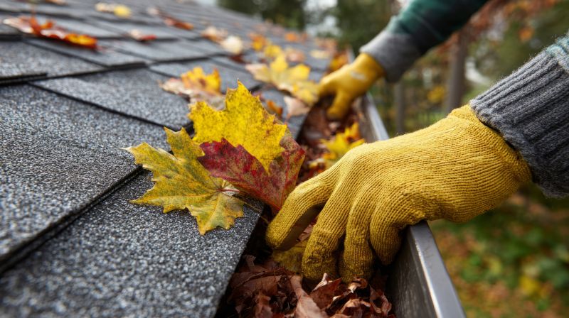 Early Fall Gutter Preparation